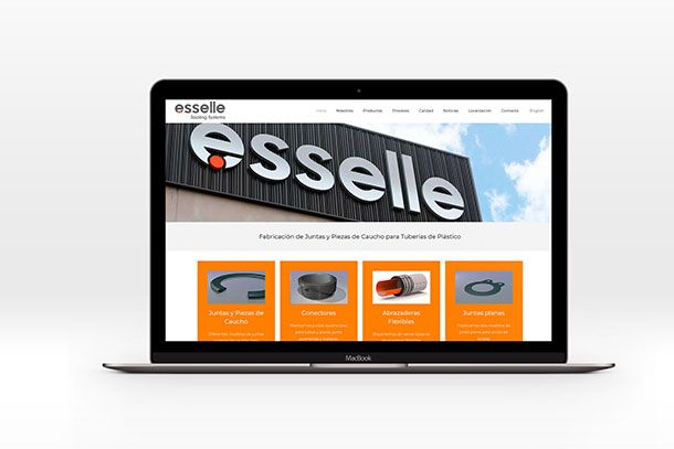 actualizacion-web-esselle